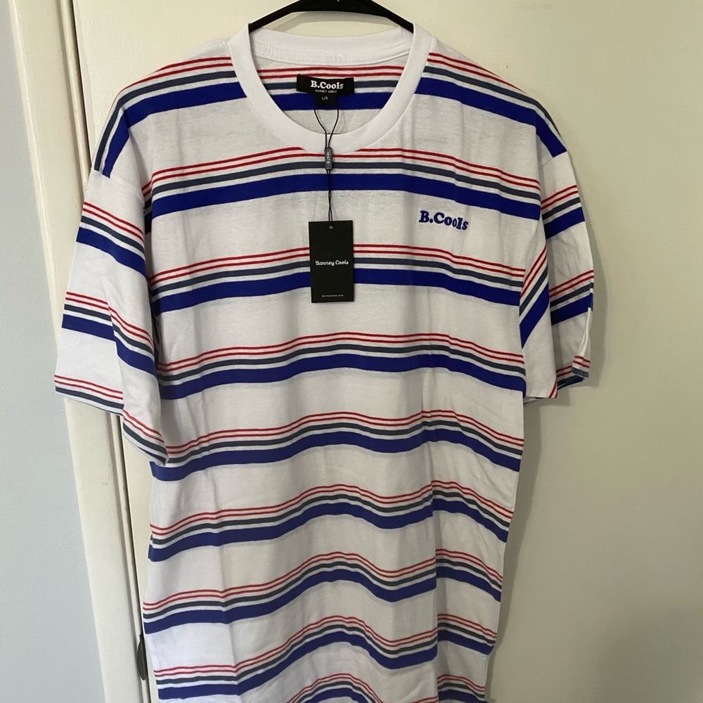 Barney cools tee